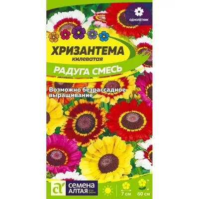 Купить Семена хризантемы в интернет каталоге с доставкой | Boxberry