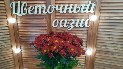 Хризантема красная 82 см (ID#1700874880), цена: 131 ₴, купить на Prom.ua