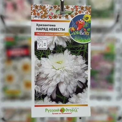 Садовод Хризантема семена хризантемы Платье невесты 1 шт