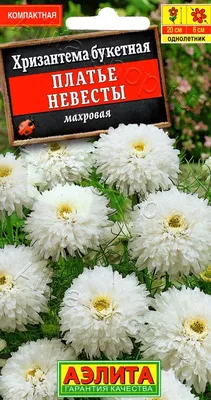 Семена хризантема Аэлита Платье невесты 00-00572839 1 уп. - купить в  Москве, цены на Мегамаркет
