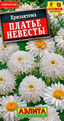 Купить букет невесты из гербер и хризантем в Челябинске