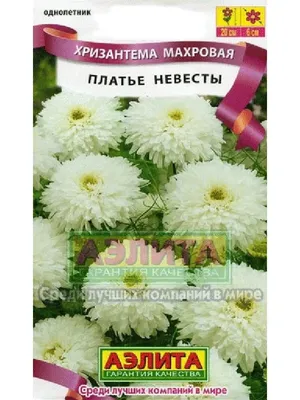 Купить Розу и Хризантему \"Невеста\" в Новокузнецке с доставкой