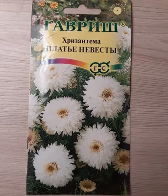 Свадебный букет из хризантем. Монокомпозиция и интересные сочетания