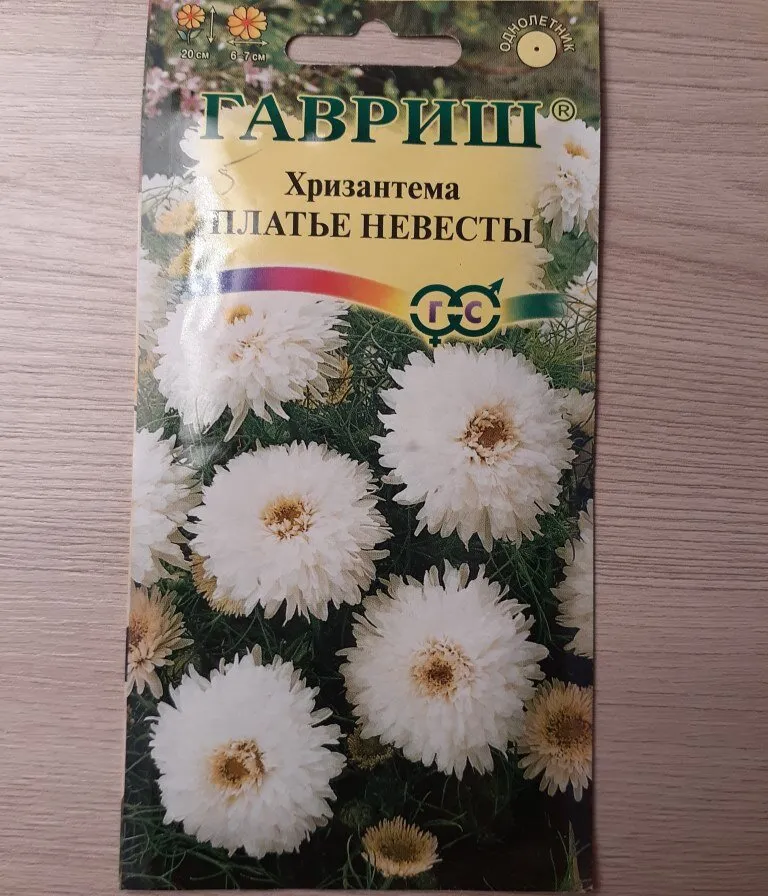 Семена Хризантемы Фото