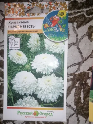Букет невесты из хризантем | доставка по Москве и области