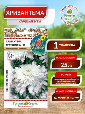 Букет невесты из тюльпанов и хризантем