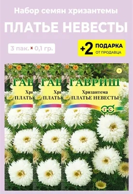 Купить Розу и Хризантему \"Невеста\" в Новокузнецке с доставкой