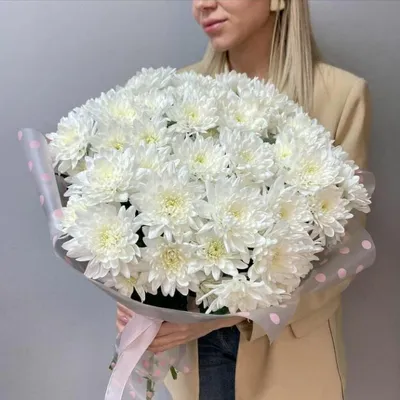 Купить «Хризантема одноголовая «Момоко»» с доставкой в Воронеже - «Pink  flowel»