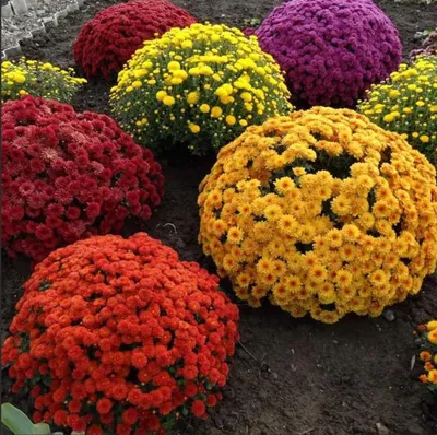 https://travelcrimea.com/novosti/20240122/3122557.html