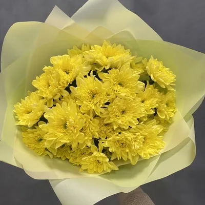 Доставка цветов Щёлково Lilium|Букет из 17 хризантем