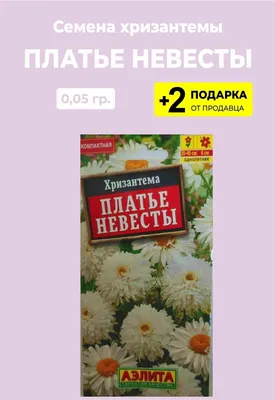 Семена Хризантемы Платье невесты, 2 упаковки + 2 Подарка — купить в  интернет-магазине по низкой цене на Яндекс Маркете