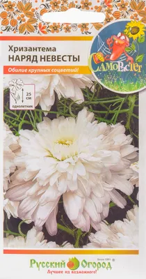 GuruDom.kz - Семена цветов Хризантема\" Наряд невесты\", 0,1г