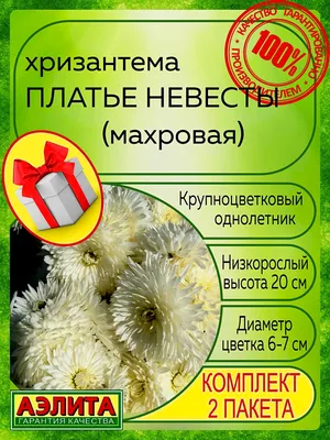 Семена Хризантема \"Платье невесты\", 0.1 гр. + Огурец Кураж F1, 10 сем. + 2  Подарка — купить в интернет-магазине по низкой цене на Яндекс Маркете