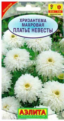 Русский Огород Цветы Хризантема Наряд невесты 3 пакета