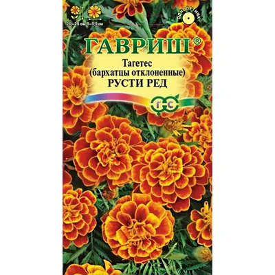 Букет невесты из хризантема с сухоцветами - цветочная студия A FLOWER