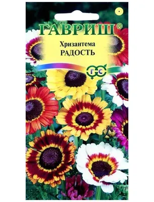 Купить Семена Ваше Хозяйство хризантема Радость в Алматы – Магазин на  Kaspi.kz