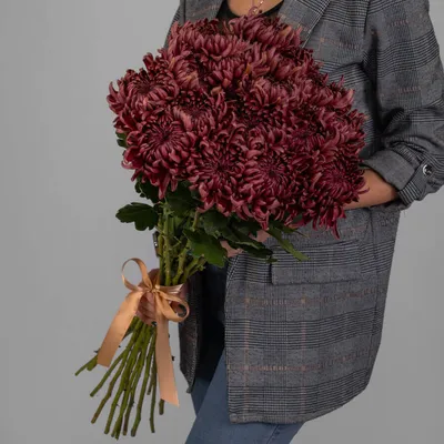 15 бордовых хризантем в букете за 10 590 руб. | Бесплатная доставка цветов  по Москве