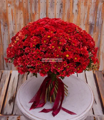 Букет из красной кустовой хризантемы – купить с доставкой в Москве