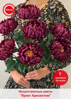 яркие красные садовые хризантемы очаровательный абстрактный цветочный фон,  натуральный цветок, цветочный садик, цветок ромашка фон картинки и Фото для  бесплатной загрузки