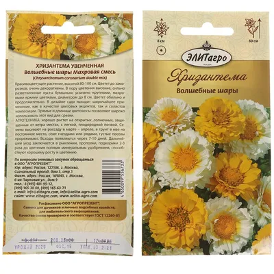 Букет «Пломбирные шарики» из хризантем - заказать и купить за 3 200 ₽ с  доставкой в Санкт-Петербурге - партнер «Забыл цветы»