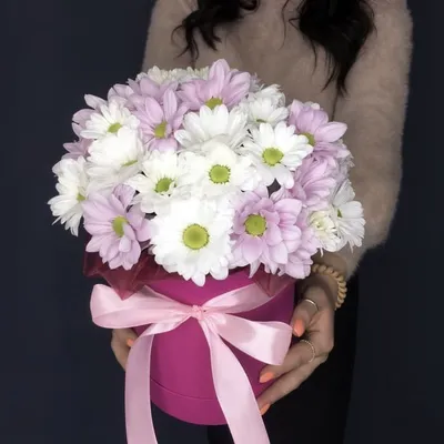 Шляпная коробка с белой хризантемой, 9 шт., купить недорого | Flowers Valley