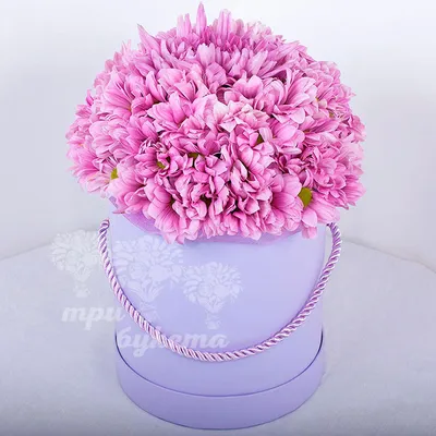 Фиолетовые хризантемы от 9 шт. за 4 690 руб. | Бесплатная доставка цветов  по Москве