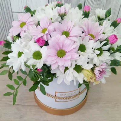 Хризантемы в коробке в Оренбурге купить, заказать с доставкой - Fleur