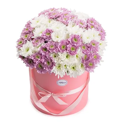 Купить Цветы в коробке 15 веток белой хризантемы | VIAFLOR