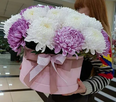 Хризантемы белые кустовые в коробке - купить цветы в Омске в цветочной  мастерской Лаванда