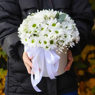 25 хризантем в шляпной коробке - купить в Москве по цене 6890 р - Magic  Flower