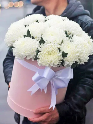Коробка с хризантемами купить в Твери по цене 3300 рублей | Камелия