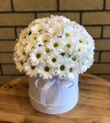 Белые хризантемы и розы в коробке | доставка по Москве и области