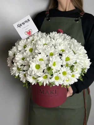 15 белых хризантем в Шляпной коробке 1 шт. купить с доставкой в Москве.  Цена от 7750 ₽