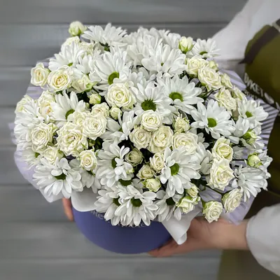 7 Белых хризантем в красной шляпной коробке №99 - доставка букета цветов в  Санкт-Петербурге. Стойкие Хризантемы от производителя.