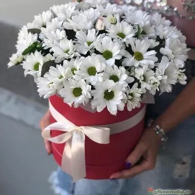 Хризантемы с розами - 81 шт. за 20 990 руб. | Бесплатная доставка цветов по  Москве