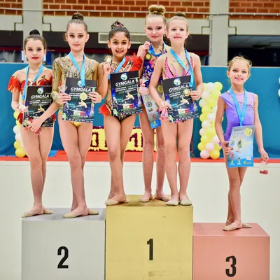 Набор в секцию художественной гимнастики, куда отдать ребенка заниматься художественной  гимнастикой в Новосибирске - 8 сентября 2022 - НГС