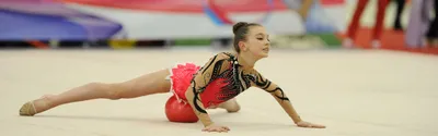 Названы лучшие гимнастки-художницы Тверской области