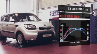 Тюнинг для KIA Soul 2017-2019 - Защита передняя нижняя (овальная с ДХО)  75х42 мм - ТСС Тюнинг