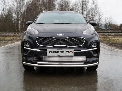 Чип-тюнинг Kia Sportage 3. Программное удаление катализатора. Отчет