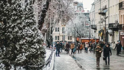 Погода в Украине - в Киеве уже началась метеорологическая зима | РБК-Україна