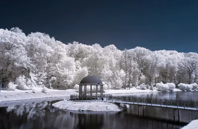 В Киев вернулась зима - Новости на KP.UA