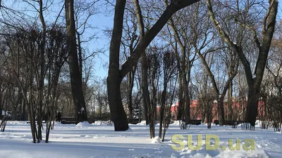 Влюбленные в Киев: волшебные фотографии столицы | Сегодня