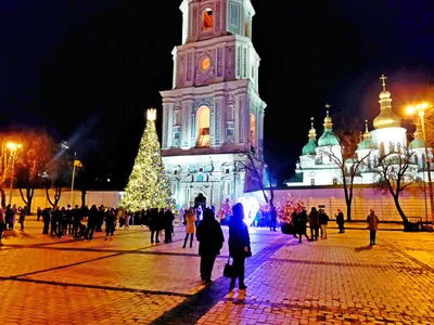 Файл:Киев, Голосеевский лес, зима (панорама).jpg — Википедия