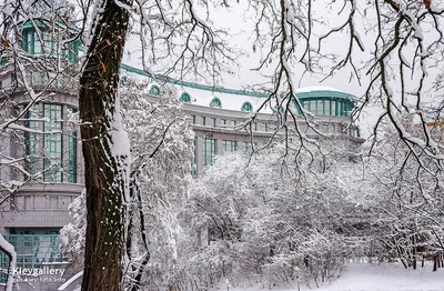 Зимний Киев - Winter Kiev