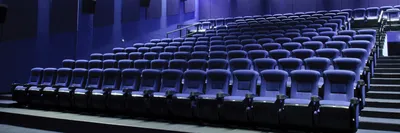 В Екатеринбурге начнут работать кинотеатры под открытым небом | Областная  газета