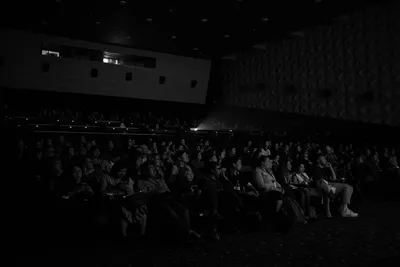 Кинотеатр Каро 8 Галерея Краснодар, Краснодар – Расписание сеансов, отзывы,  фото, цены, адрес – Афиша-Кинотеатры