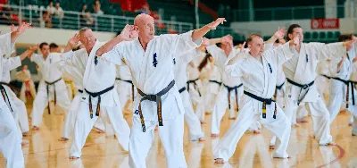 Школа Кёкусин Карате – Тренировки в школе карате киокушинкай в Москве