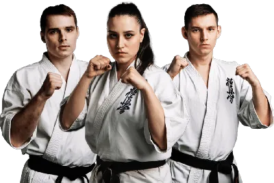 Именное кимоно киокушинкай 10 унций 100 % хлопок (доги с именной вышивкой)  - купить в Москве, по России - Karate.ru
