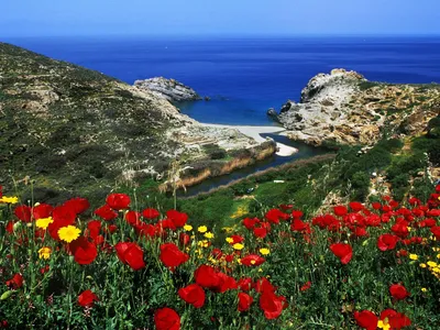 Кипр весной (74 фото) - 74 фото