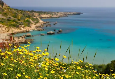 Кипр весной (74 фото) - 74 фото
